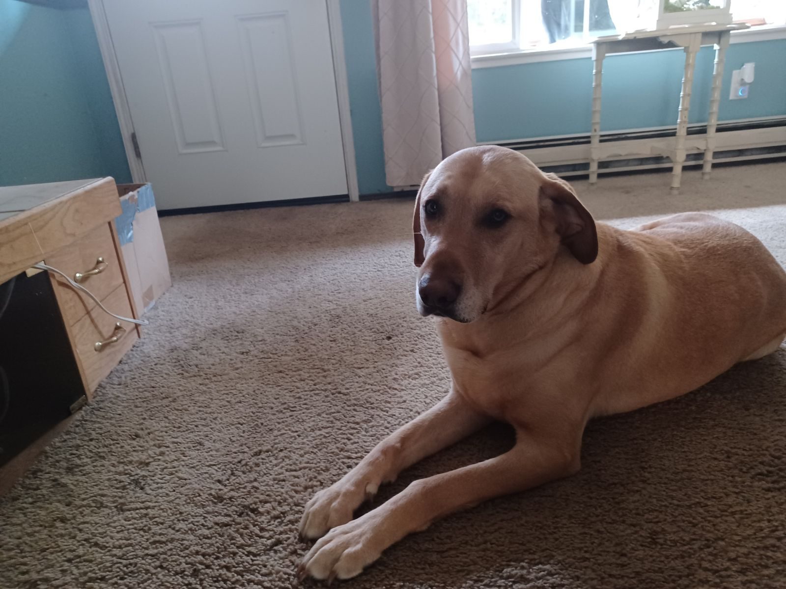 WhatsApp Image 2026-03-31 at 10.02.53 AM